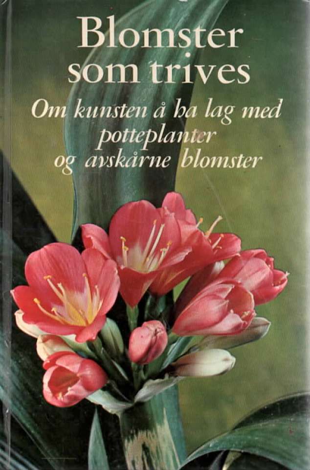 Blomster som trives – Om kunsten å ha lag med potteplanter av avskårne blomster