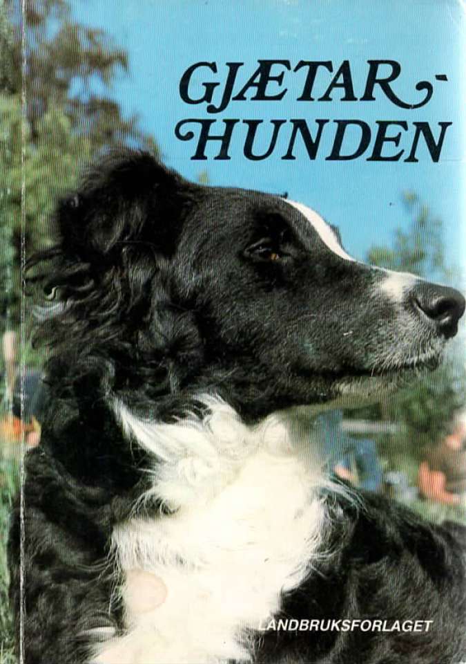 Gjetarhunden