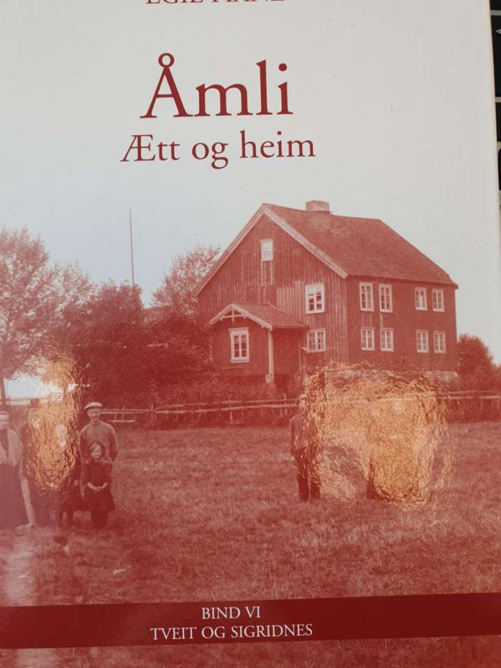 Åmli - Ætt og heim bind VI