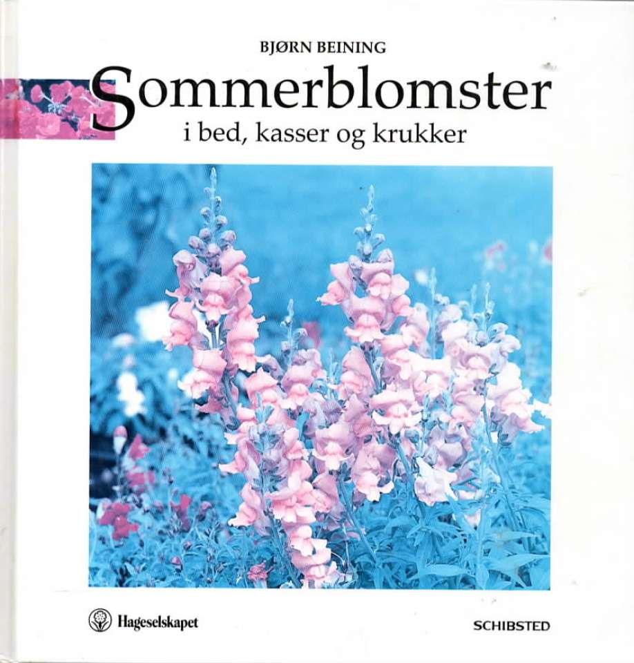 Sommerblomster – i bed, kasser og krukker