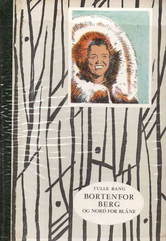 Bortenfor berg og nord for blåne