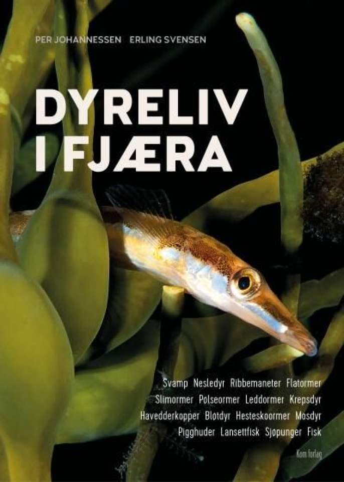 Dyreliv i fjæra