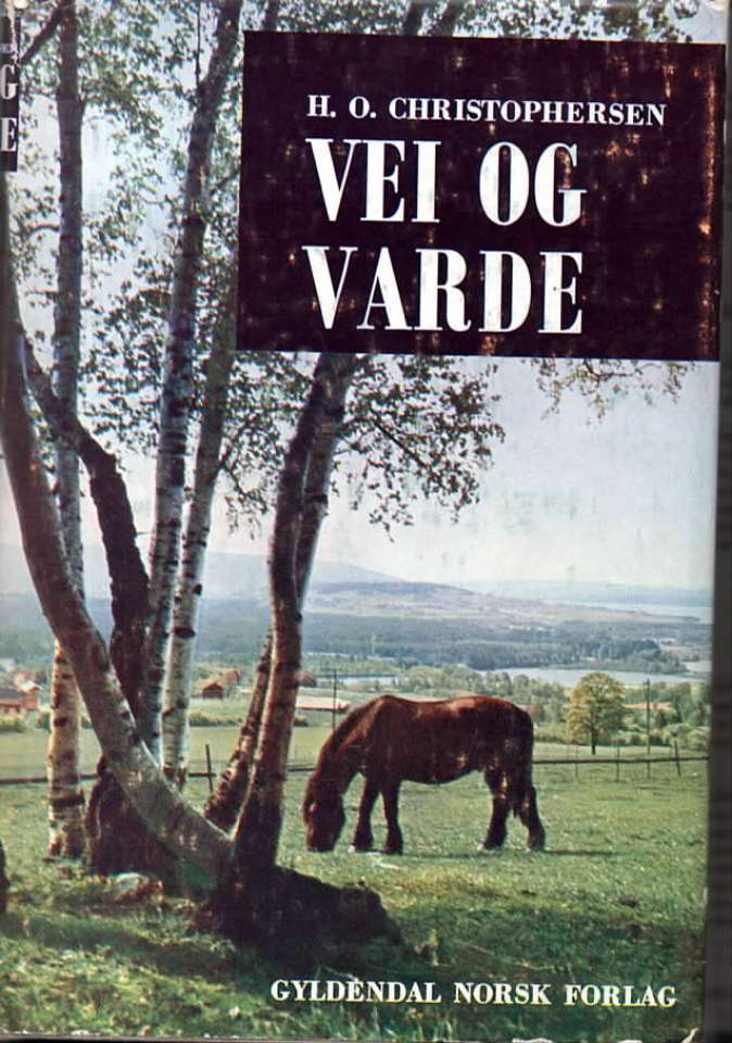 Vei og varde