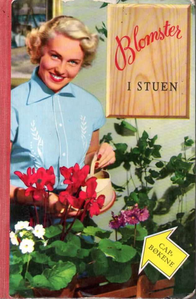 Blomster i stuen