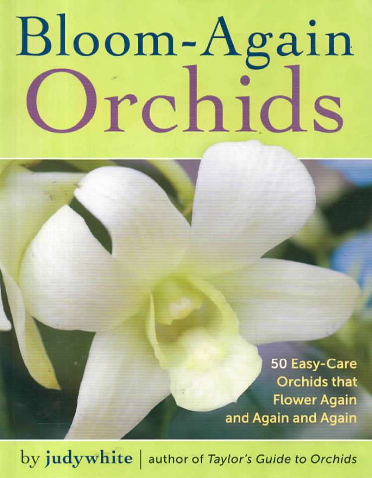 Bloom-Again Orchids