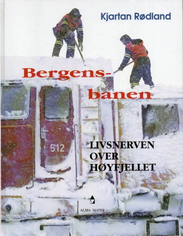 Bergensbanen – Livsnerven over høyfjellet