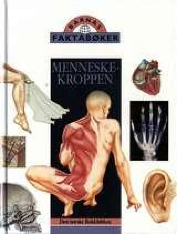 Menneskekroppen