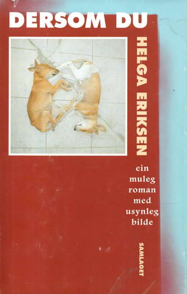 Dersom du – ein muleg roman med usynleg bilde