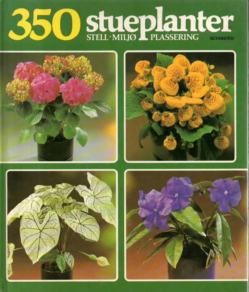 350 stueplanter – stell, miljø, plassering