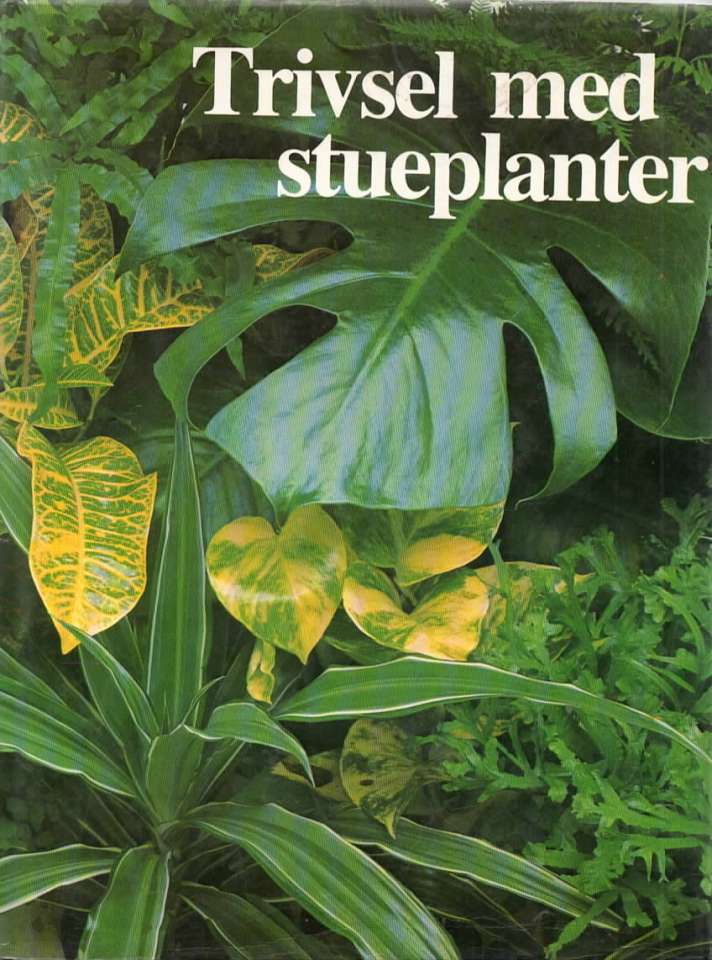 Trivsel med stueplanter – Alt om blomster og planter i hjemmet
