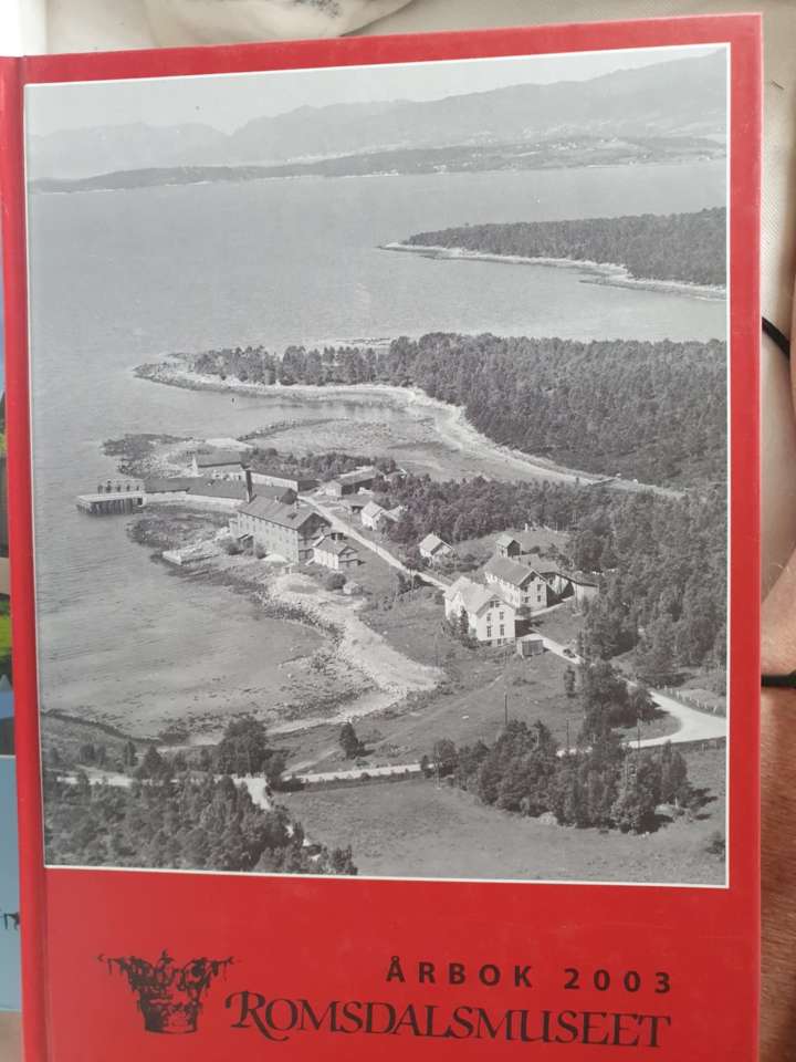 Romsdalsmuseet - årbok 2003