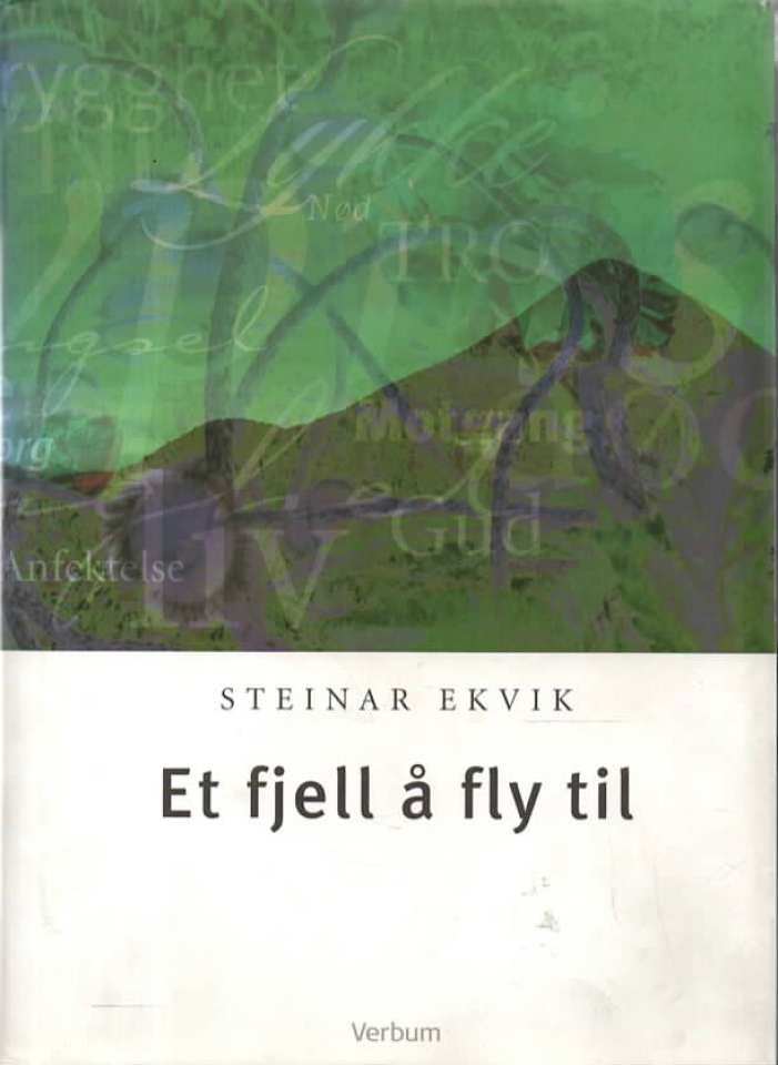 Et fjell å fly til – Temaer fra Salmenes bok