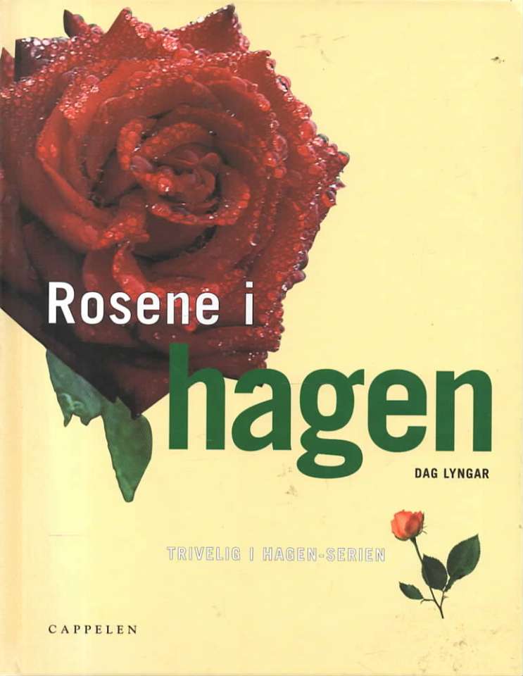 Rosene i hagen