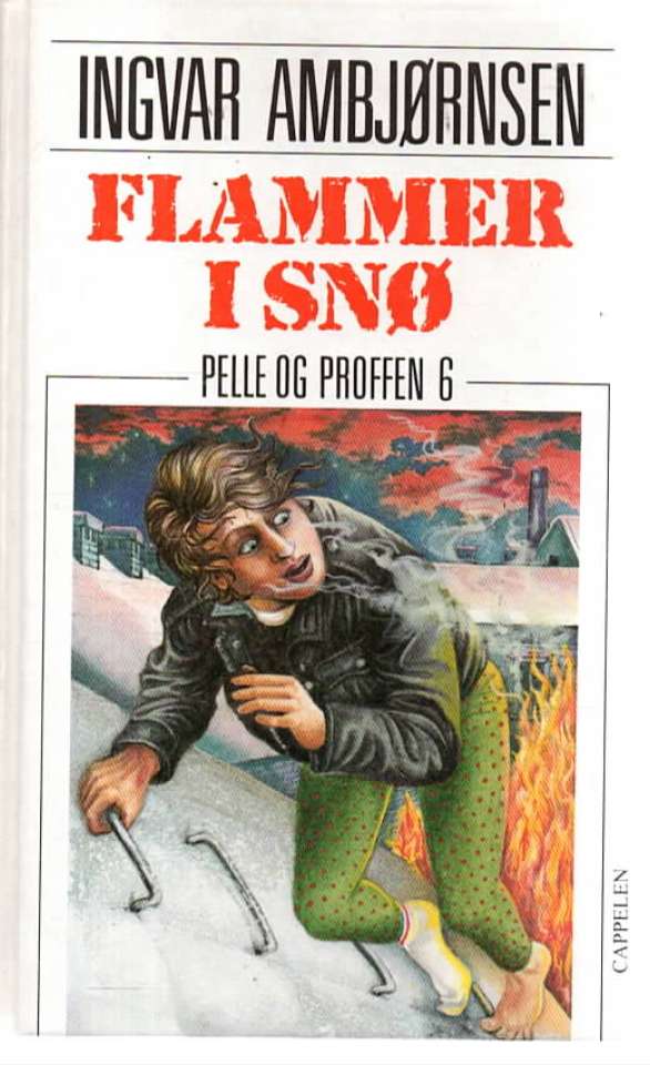 Flammer i snø – Pelle og Proffen 6