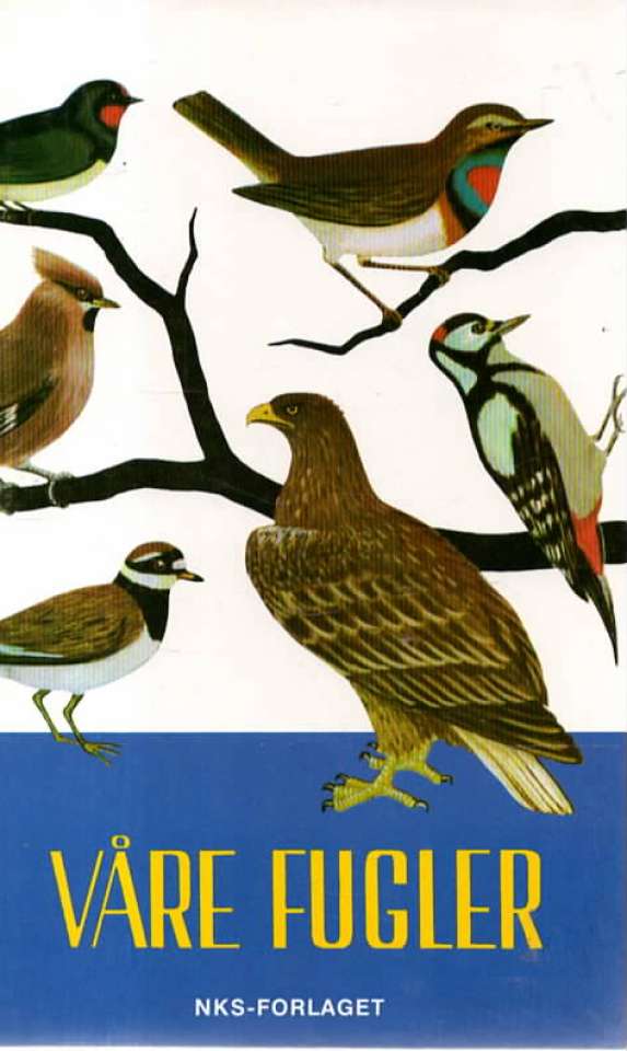 Våre fugler