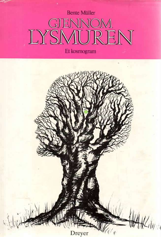 Gjennom lysmuren – Et kosmogram