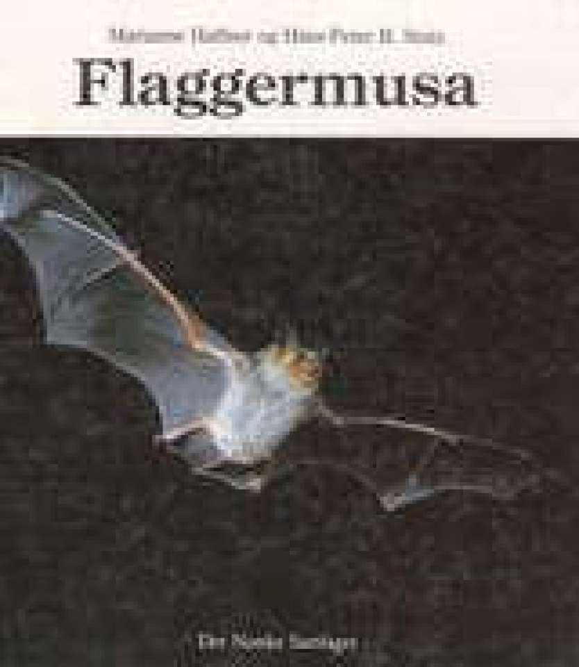 Flaggermusa