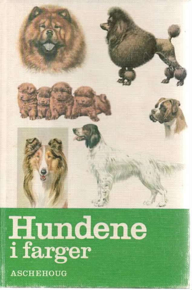 Hunder i farger
