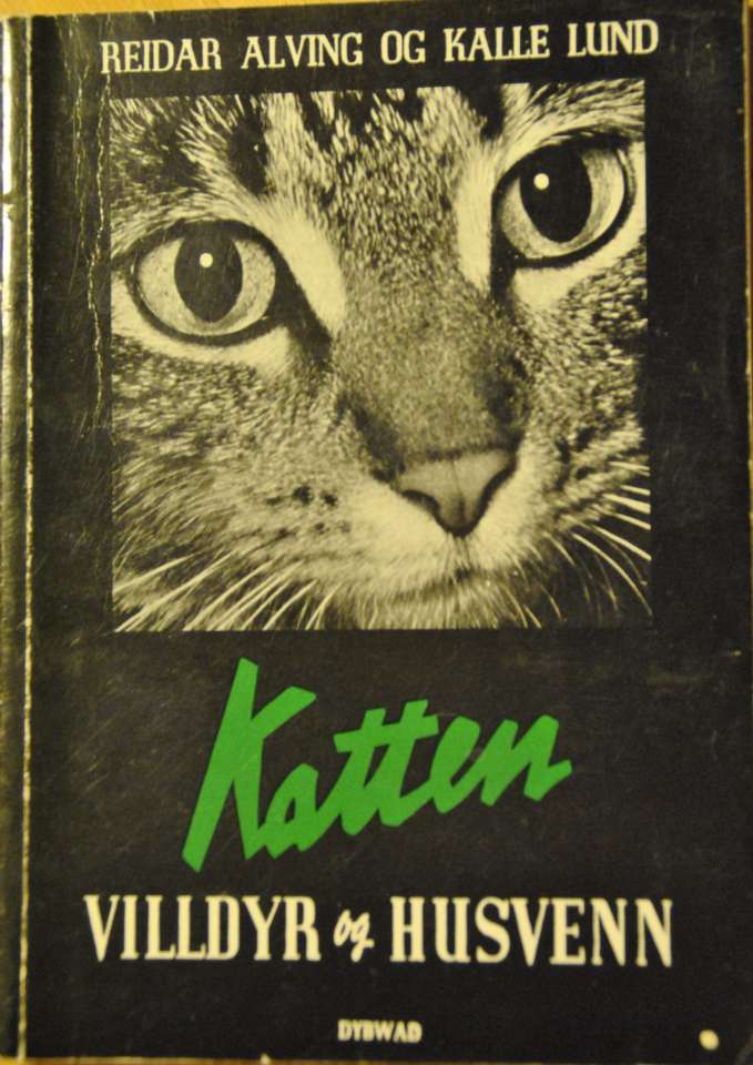 Katten - villdyr og husvenn