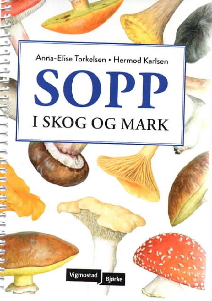 Sopp i skog og mark