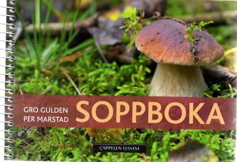 Soppboka