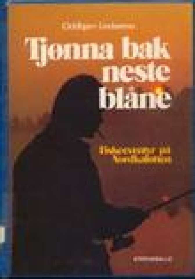 Tjønna bak neste blåne