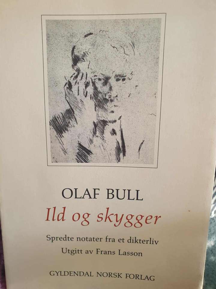 Ild og skygger