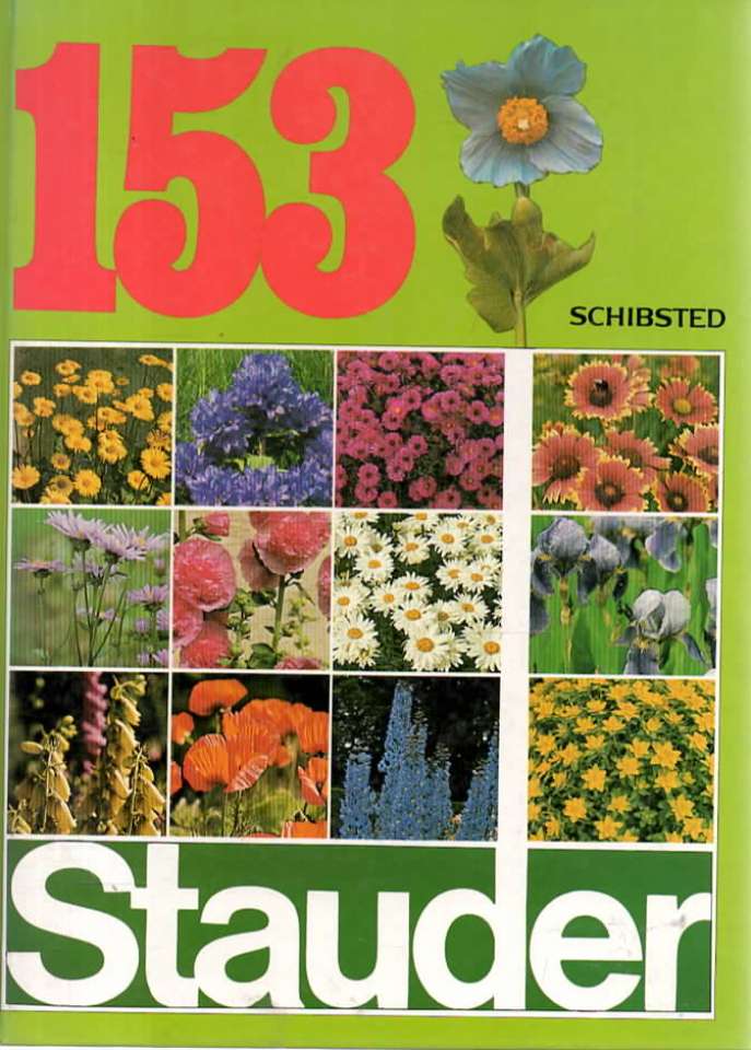 153 stauder