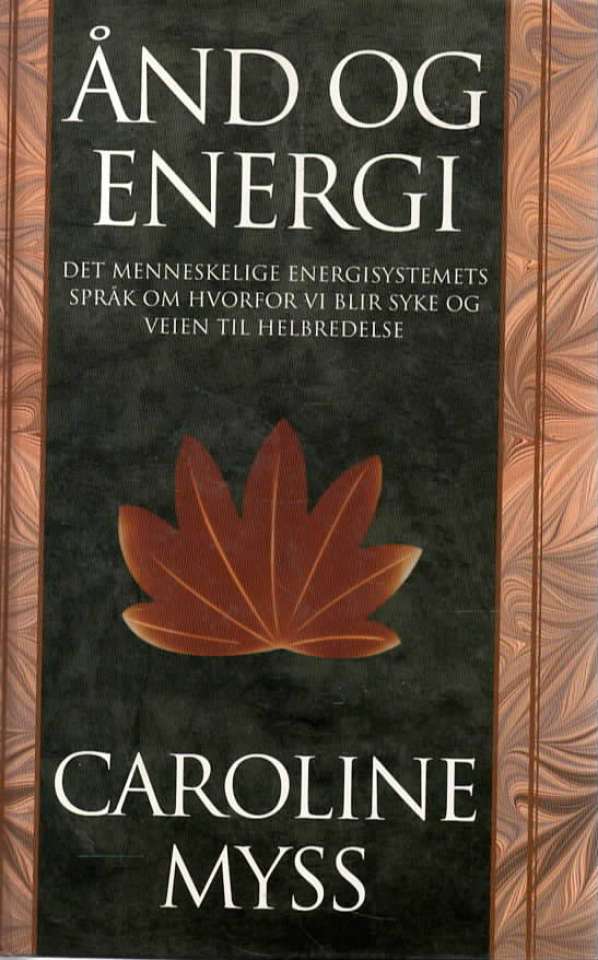 Ånd og energi – Det menneskelige energisystemets språk om hvorfor vi blir syke og veien til helbredelse
