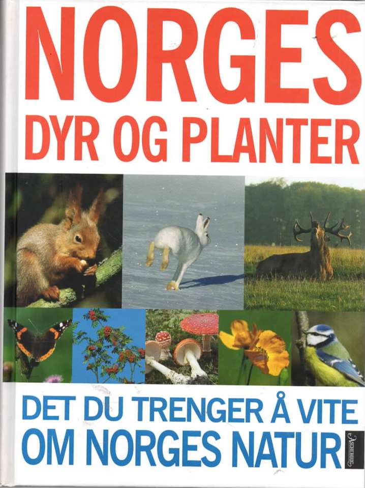 Norges dyr og planter – Det du trenger å vite om Norges natur