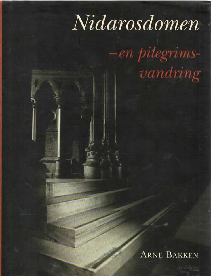 Nidarosdomen – en pilegrimsvandring