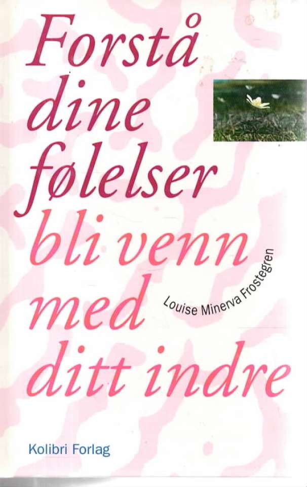 Forstå dine følelser bli venn med ditt indre