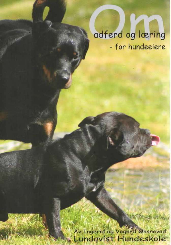 Om adferd og læring – for hundeeiere