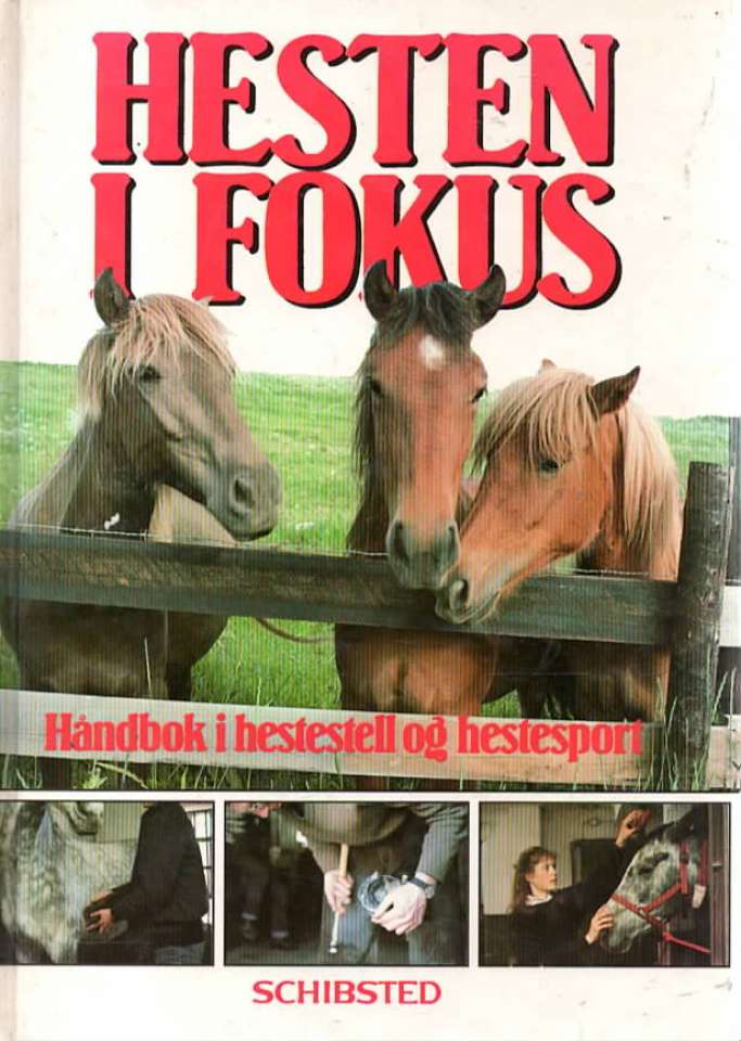 Hesten i fokus – Håndbok i hestestell og hestesport