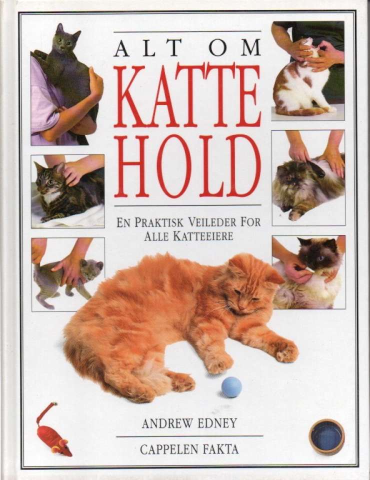 Alt om kattehold – en praktisk veileder for alle katteeiere