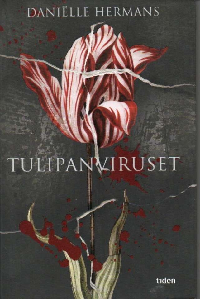 Tulipanviruset