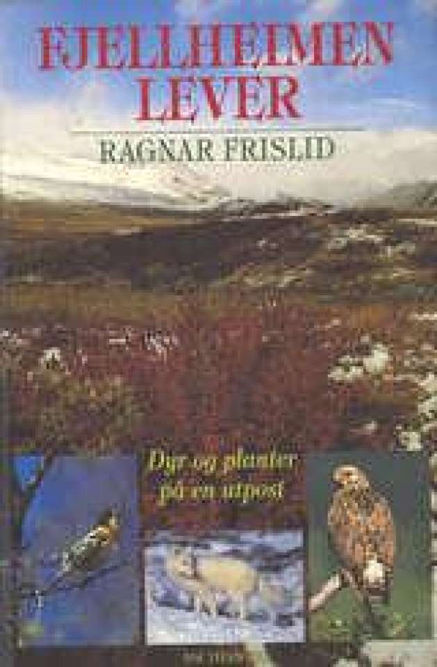 Fjellheimen lever - dyr og planter på en utpost
