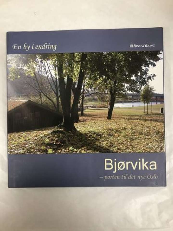 Bjørvika - porten til det nye Oslo
