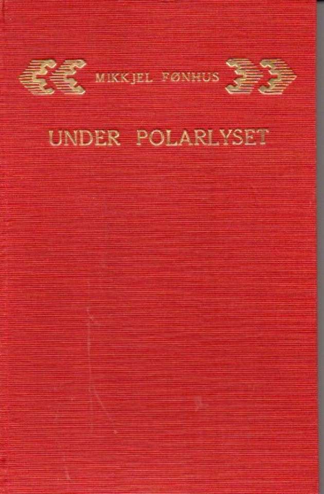 Under polarlyset
