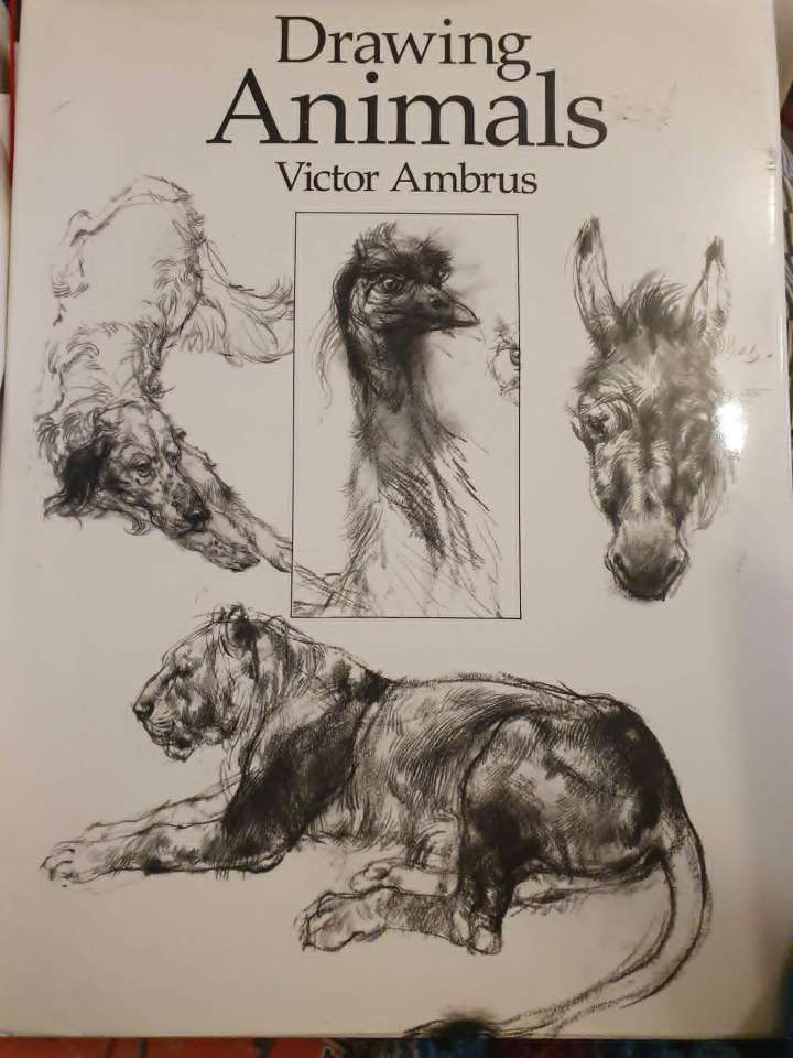 Drawing Animals