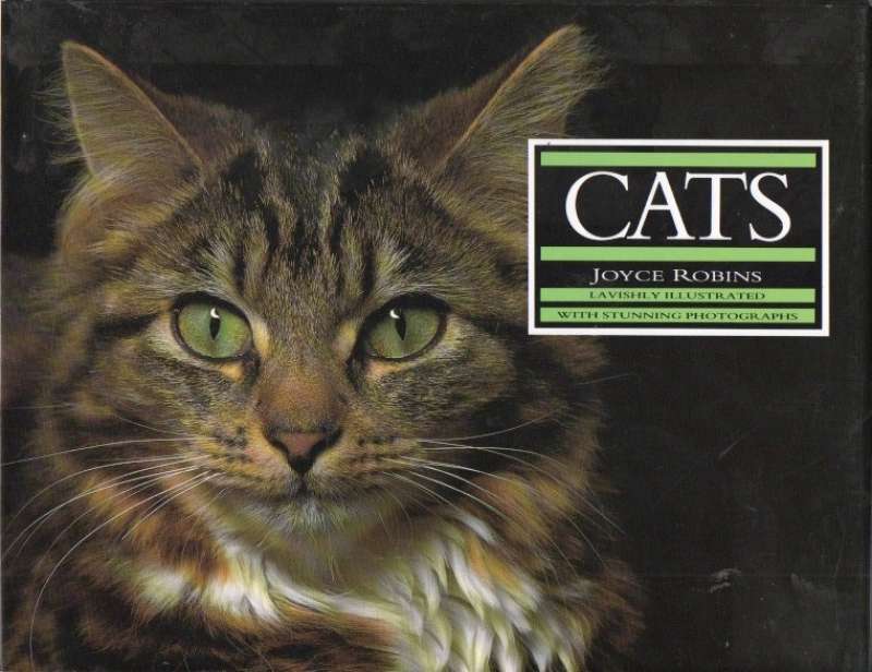 Cats – lavishly illustrated