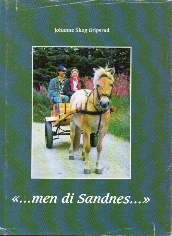 ... men di Sandnes