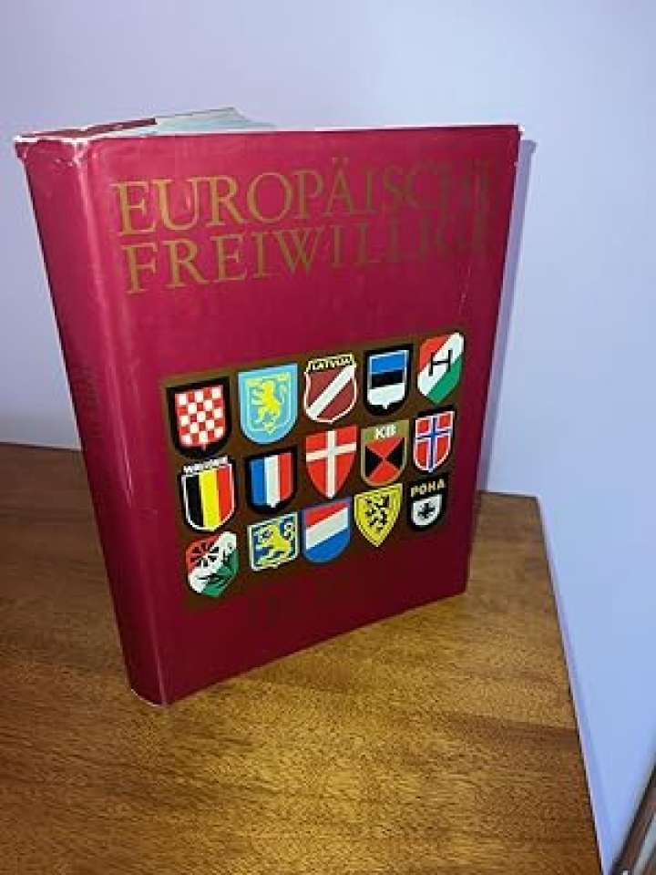 Europäische Freiwillige im Bild