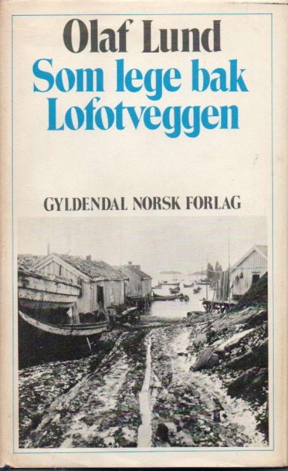 Som lege bak Lofotveggen