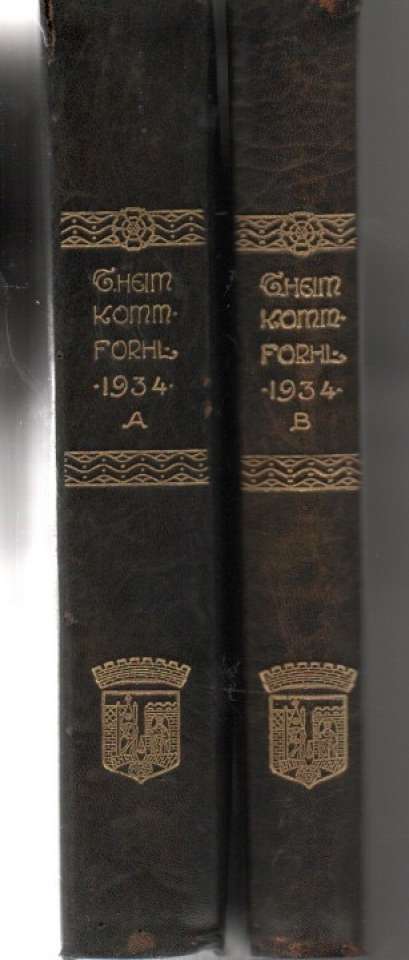 Trondheims bystyres forhandlinger år 1934 Bind A og B
