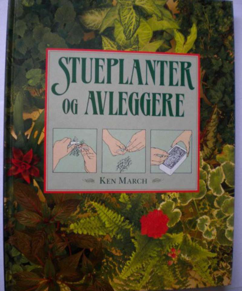 Stueplanter og avleggere