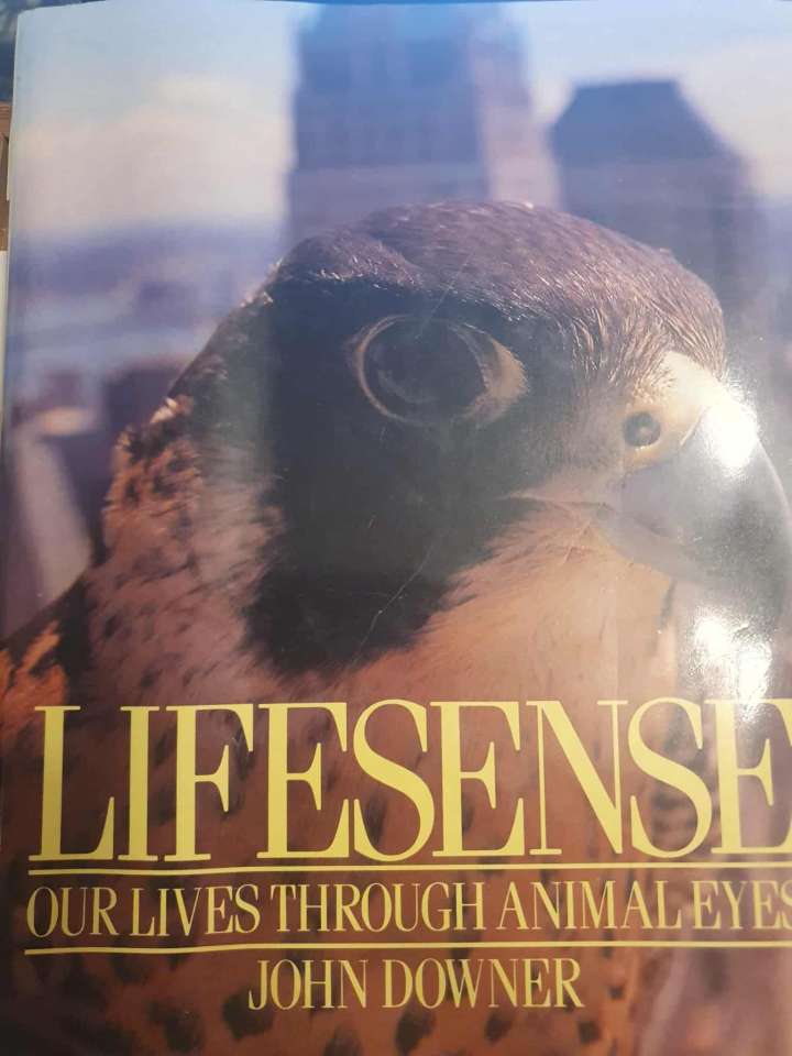 Our Lives Through Animal Eyes