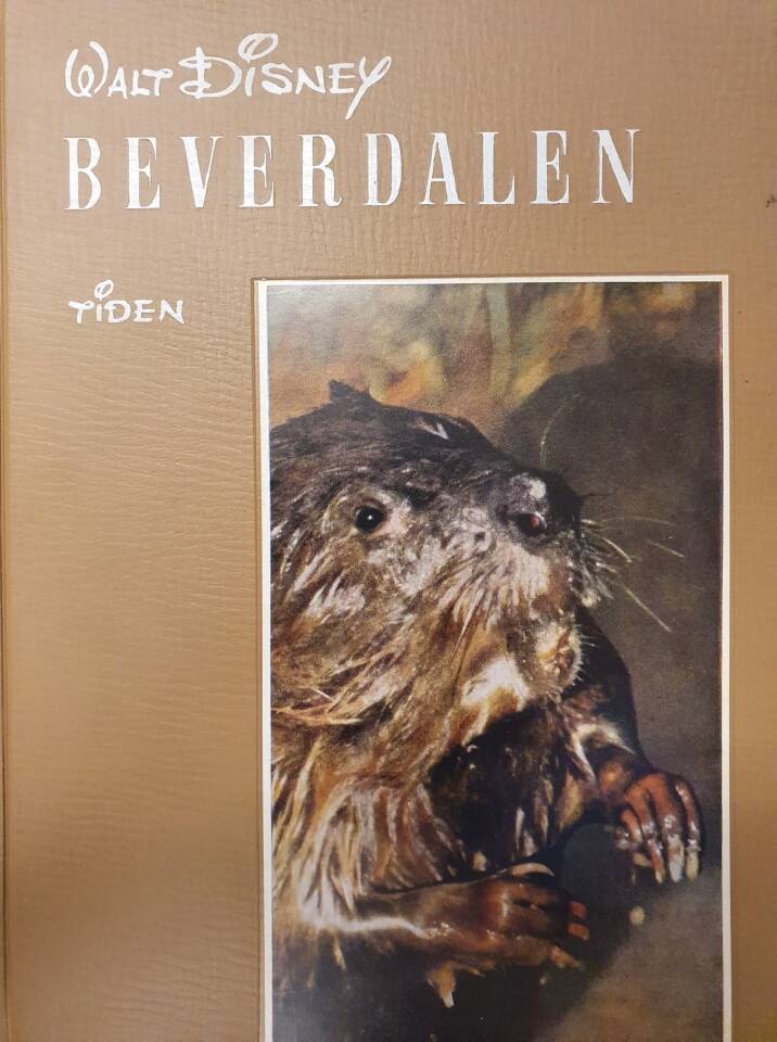 Beverdalen