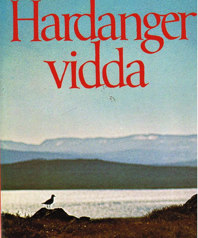 Hardangervidda