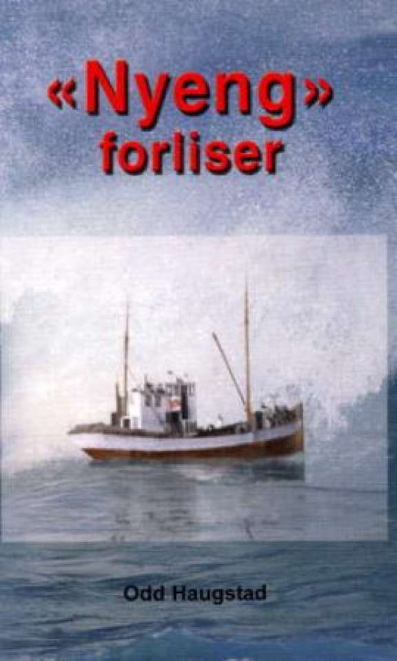 Nyeng forliser